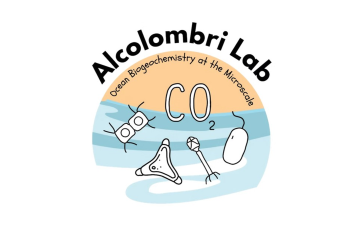 Alcolombri lab